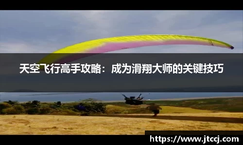 球速体育